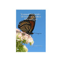 Tranquil Moments: 30 Days of Chakra Affirmations